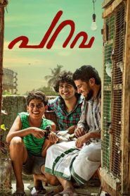 Parava