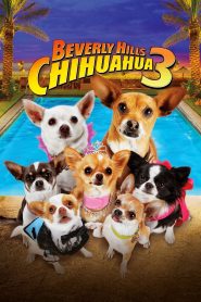 Beverly Hills Chihuahua 3 – Viva La Fiesta!