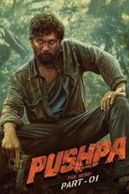 Pushpa: The Rise